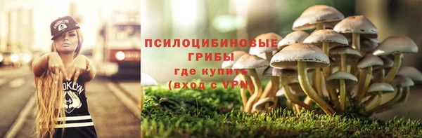 герыч Осинники
