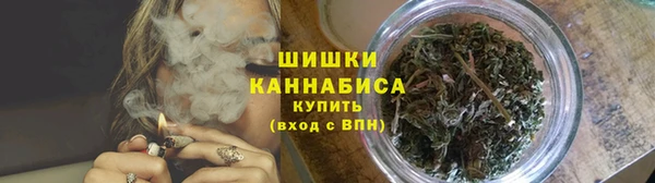 индика Белокуриха