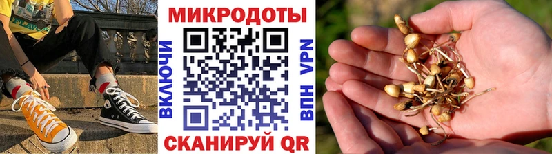 Псилоцибиновые грибы Psilocybe  наркота  Берёзовский 