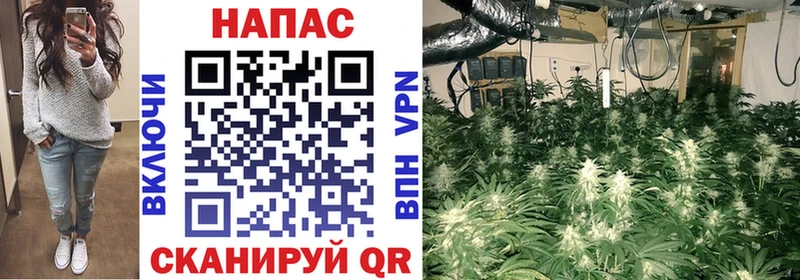 Конопля гибрид  где найти наркотики  OMG ССЫЛКА  Берёзовский 